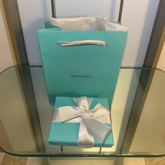 Tiffany & Co Small Gifting Set T&Co Gift Bag Tissue Box Jewelry Bag Ribbon Card - Picture 1 of 13